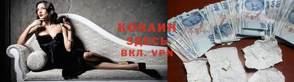 крисы Арсеньев