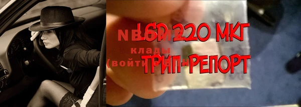 ПСИЛОЦИБИНОВЫЕ ГРИБЫ Армянск