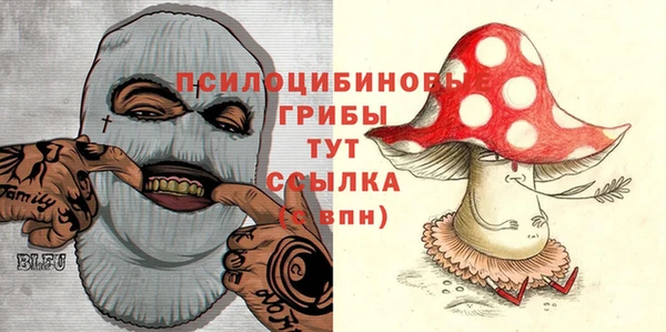 ПСИЛОЦИБИНОВЫЕ ГРИБЫ Армянск