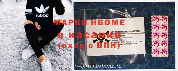 ПСИЛОЦИБИНОВЫЕ ГРИБЫ Армянск