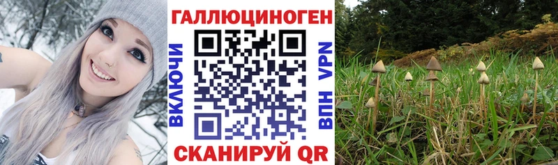 Галлюциногенные грибы MAGIC MUSHROOMS  нарко площадка как зайти  Сольвычегодск 